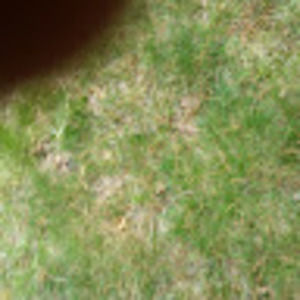 Meet your Posher, Lance